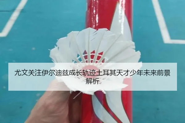 尤文关注伊尔迪兹成长轨迹土耳其天才少年未来前景解析
