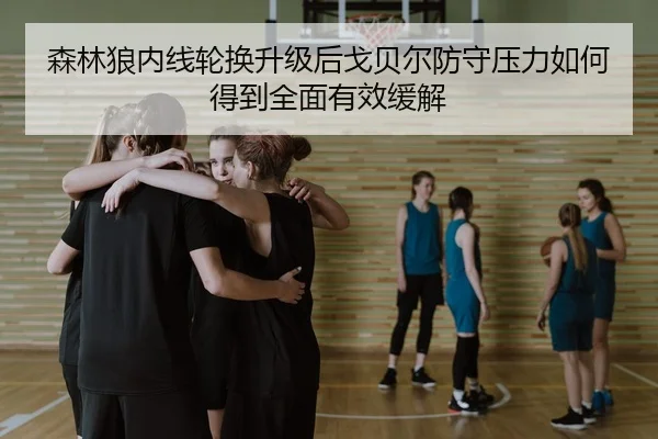 森林狼内线轮换升级后戈贝尔防守压力如何得到全面有效缓解